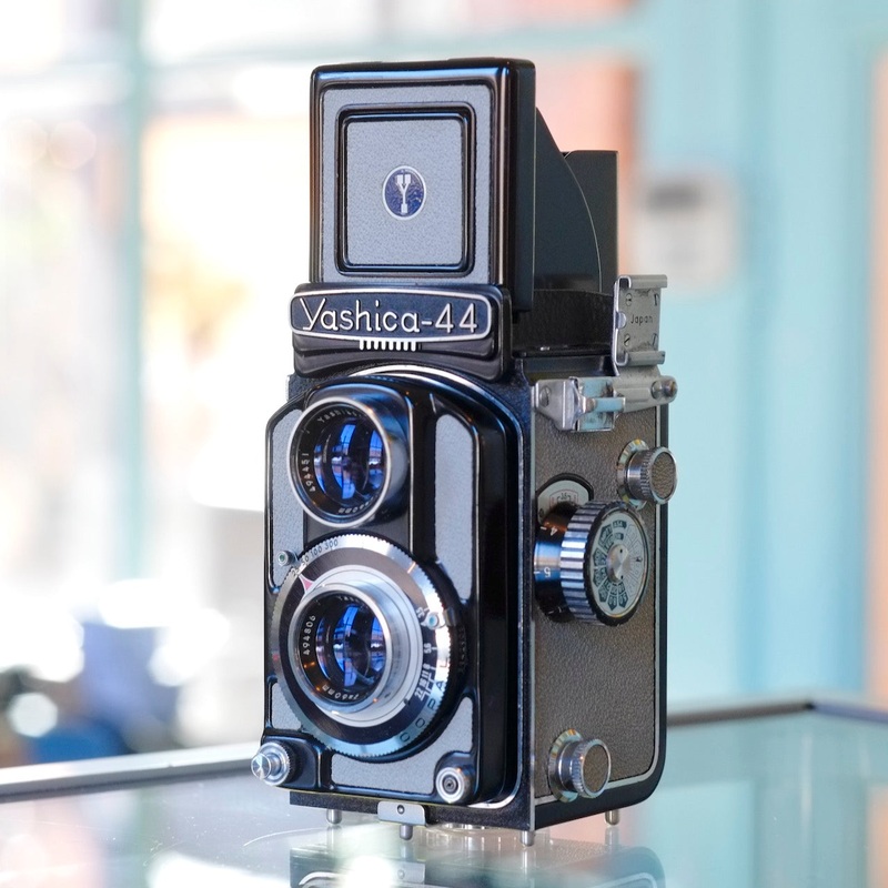 Yashica A44