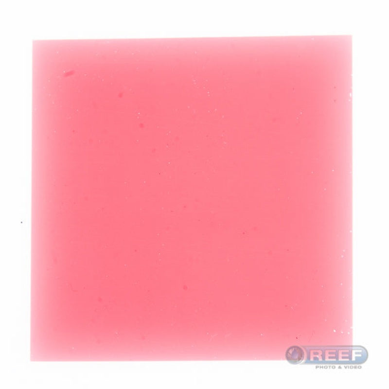 Auto Magic Amphibico Slot Filter (4 inch x 3 inch )