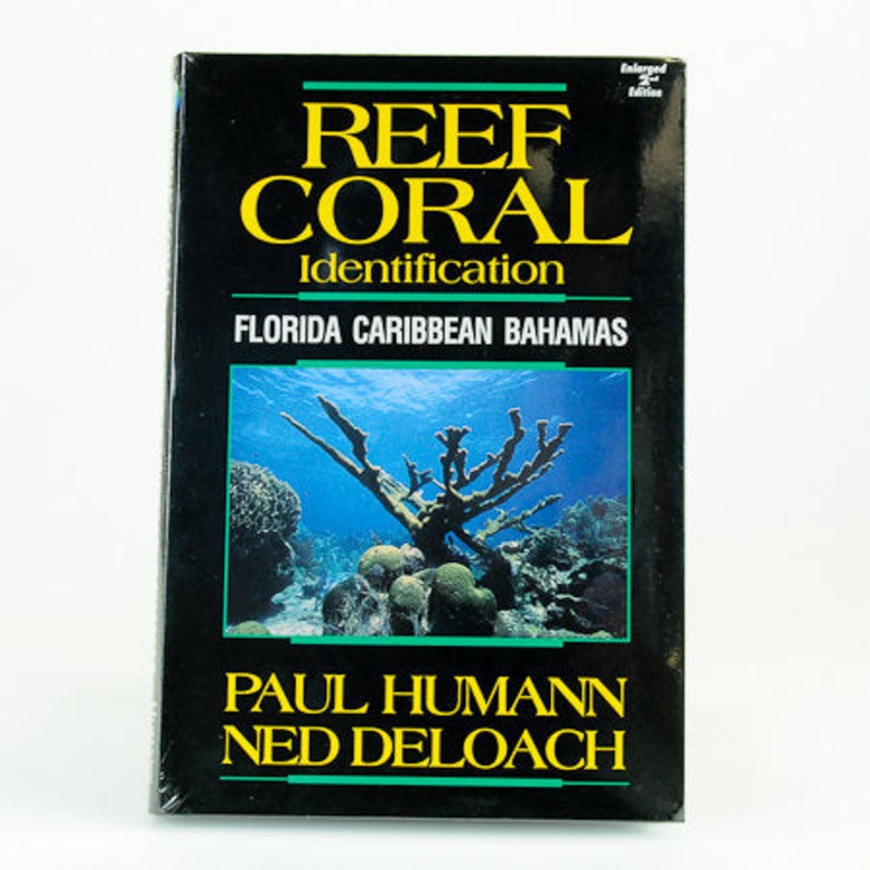 Reef Coral ID – Caribbean