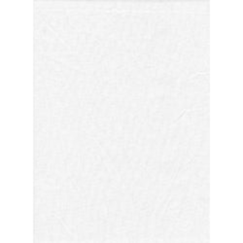 PRO BACKDROP 10×20 – SOLID WHITE (1898)