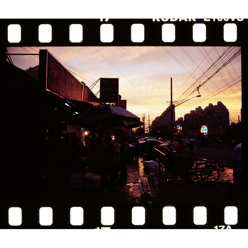 The Art and Craft of Analog Film Photography Shooting with Analog M + Black and White Film processing