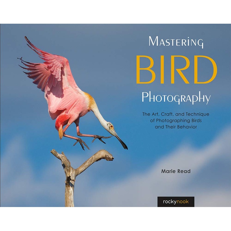 Rocky Nook Book: Mastering Bird Photography by Marie Read